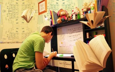 ¿Por qué existen estudiantes ‘torpes’?